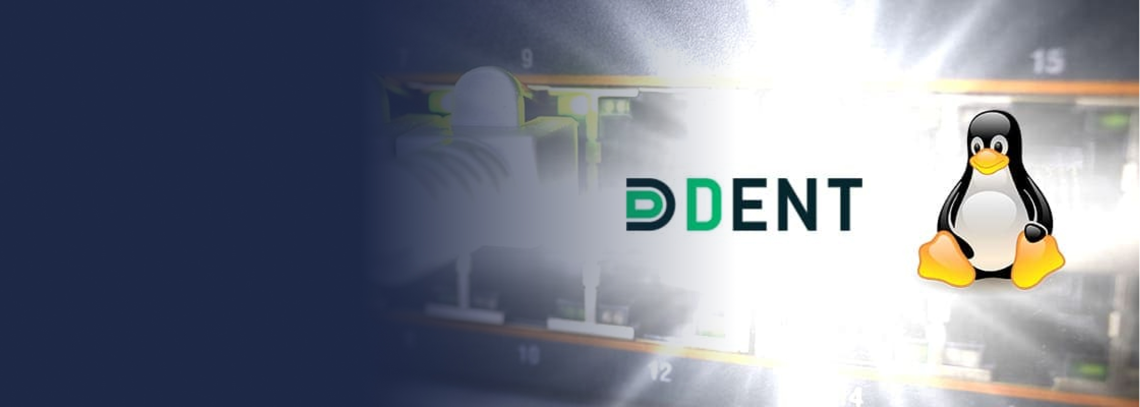 SwitchDev and DentOS Development - PLVision