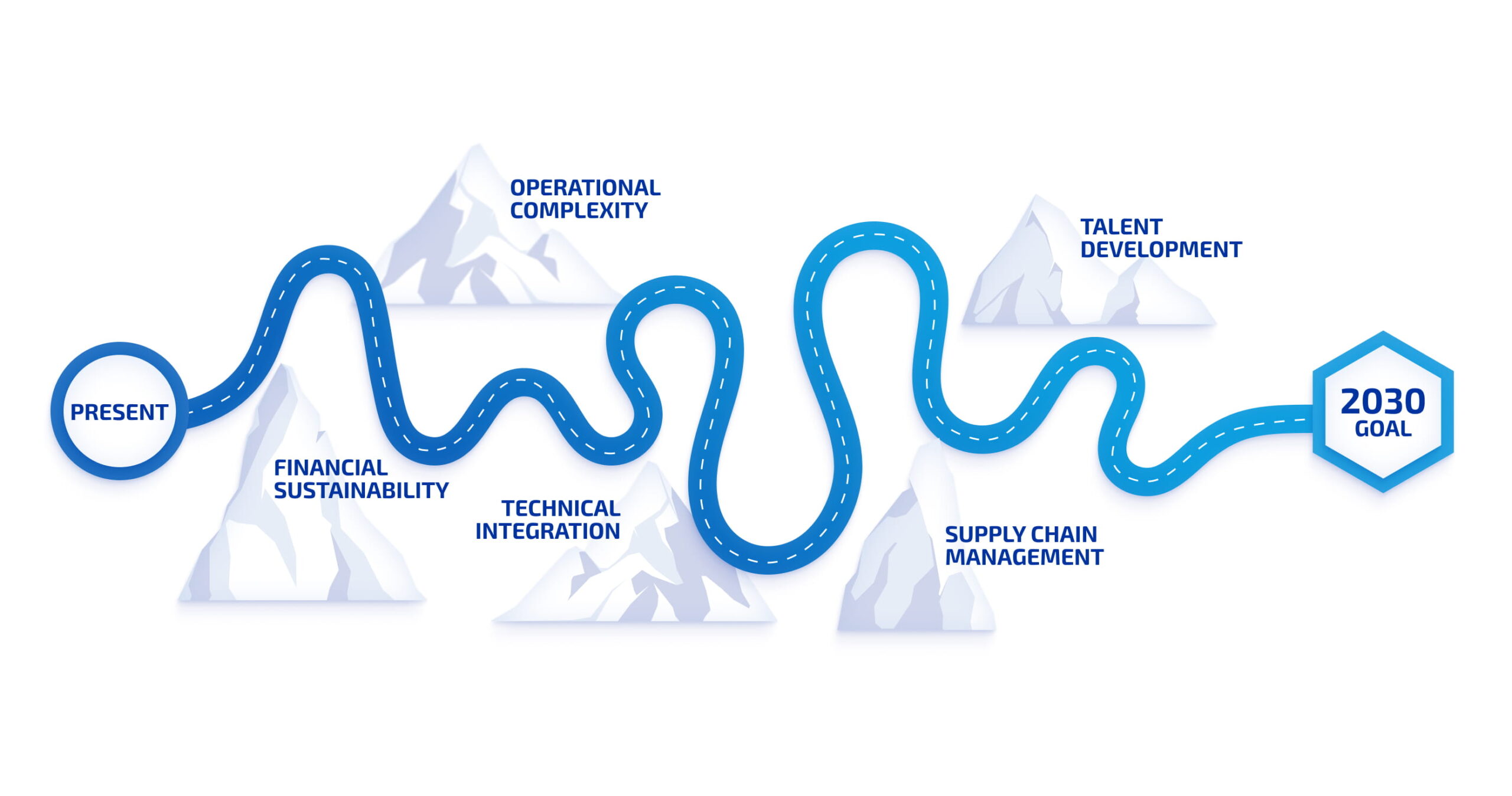 Technical and strategic challenges